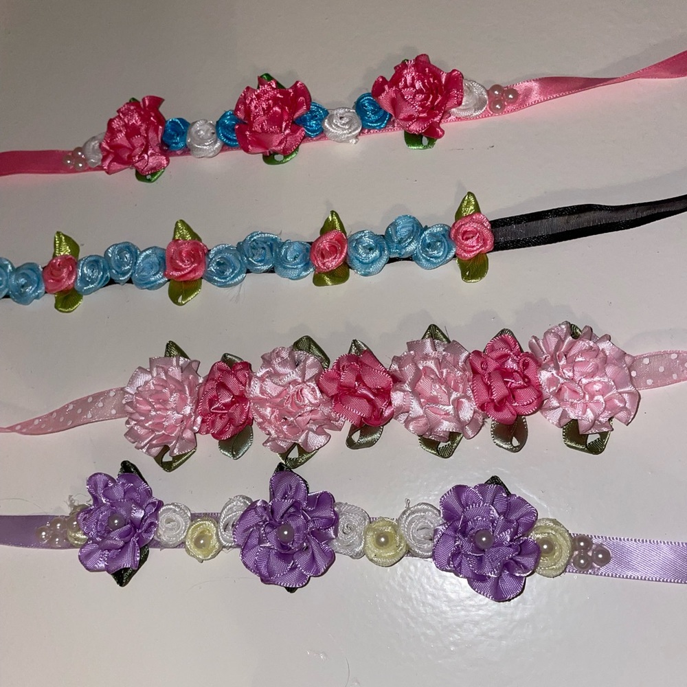 Bunflowers bun flowers